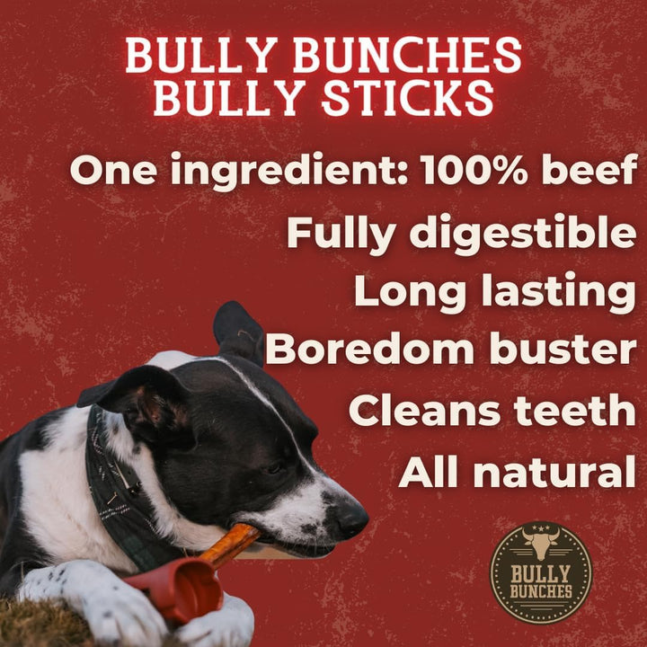 Premium 6 Inch Standard Odor-Free Bully Sticks for Small to Medium Dogs & Puppies - Long Lasting Chews for Oral Care - All Natural, 100% Beef Dog Treats, Rawhide Free (5 Pack)