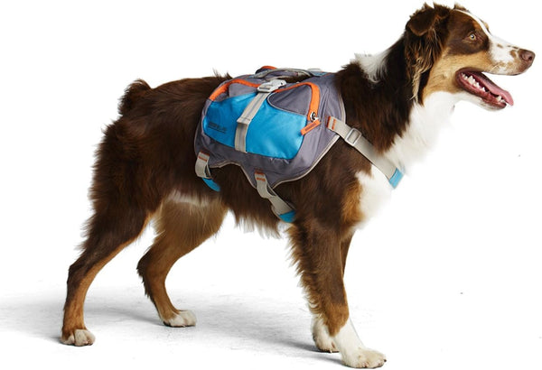 Dog Backpack Large Blue