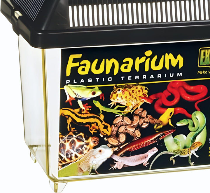 Faunarium, Plastic Reptile Terrarium, Small, PT2255