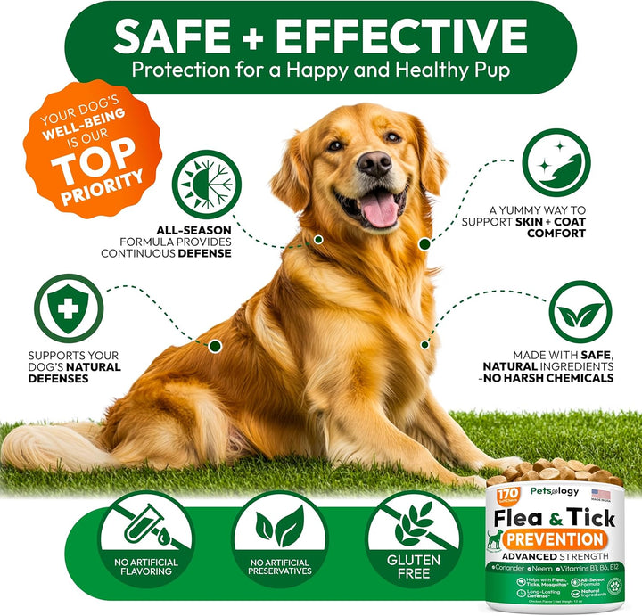 Flea and Tick Prevention for Dogs Pills - Natural Dog Flea & Tick Control - 170 Soft Chewables - Oral Defense Treatment for Dogs Supplement - Vet Formulated Chews - All Breeds & Ages - Made in USA