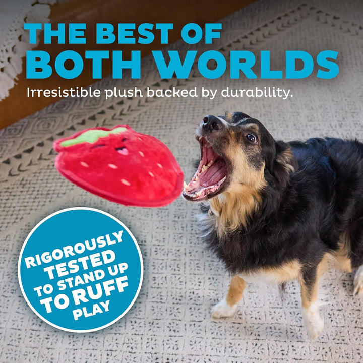 Tough Skinz Durable Squeaky Dog Toy with Two Tough Layers, Strawberry, Red, Medium