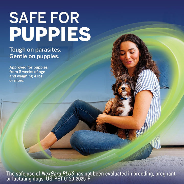 plus (Afoxolaner, Moxidectin, and Pyrantel) Flea and Tick Protection & Heartworm Preventive for Dogs Soft Beef Flavored Chewables, 33.1-66 Lbs. (Purple) 6 Chews (6 Month Supply)