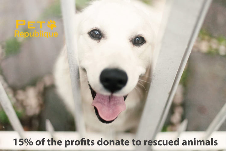 Cat Nail Clippers by  – Professional Stainless-Steel Nail Clipper for Cats, Kittens, Hamster, Rabbits, Birds, & Small Breed Animals Claw Trimmer