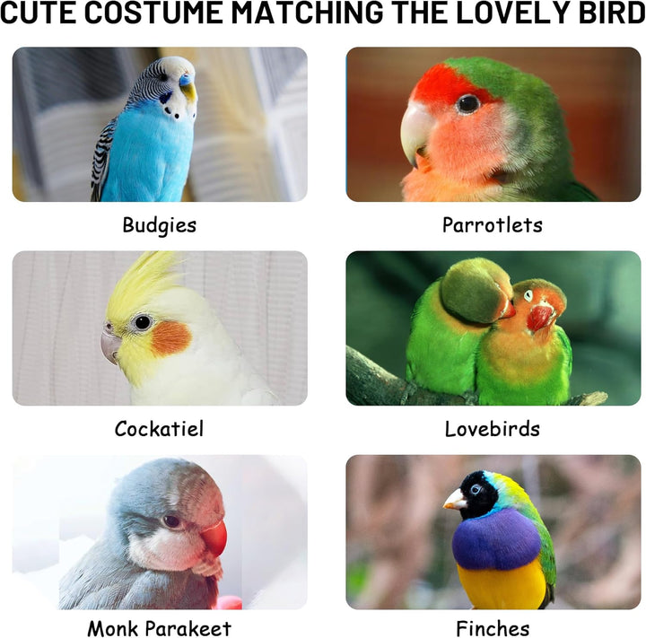 Cute Bird Costume, Parrot Cloak Cosplay Photo Prop, Bird Clothes for Budgerigar, African Greys Parakeet, Conure, Cockatiel, Mynah, Love Birds, Finches (Pink)