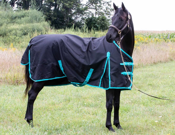 Winter Horse Blanket 300GSM 600 Denier (Waterproof/Breathable/Snow Proof) Turnout Blanket | Heavy Winter Blanket (78, Black with Turquoise Trims)