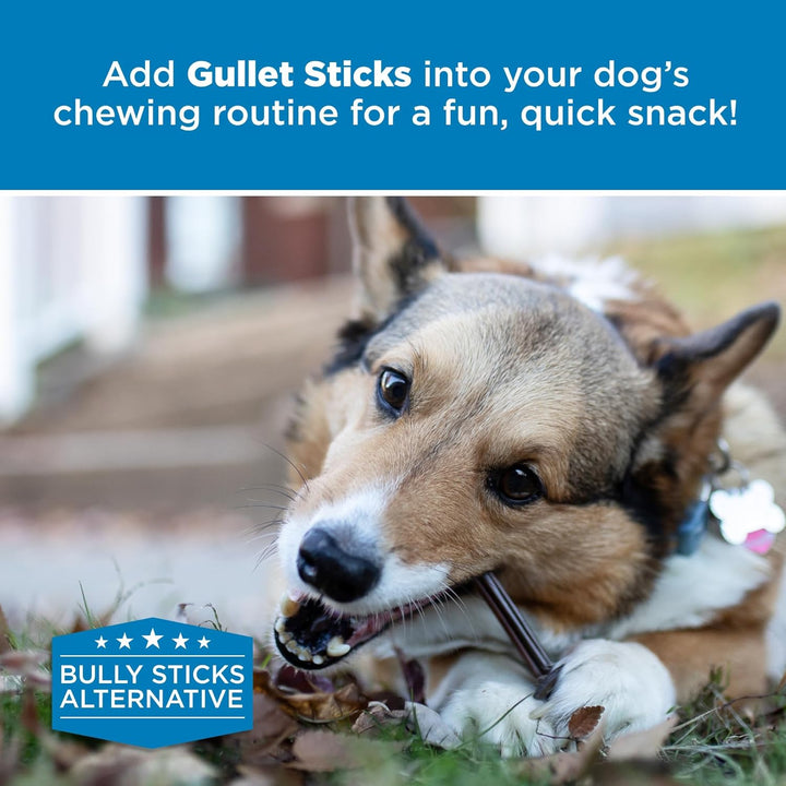 6 Inch Gullet Sticks - 25 Count (Pack of 1) - Natural, Thin, Hollow Esophagus Snack, Rawhide Alternative