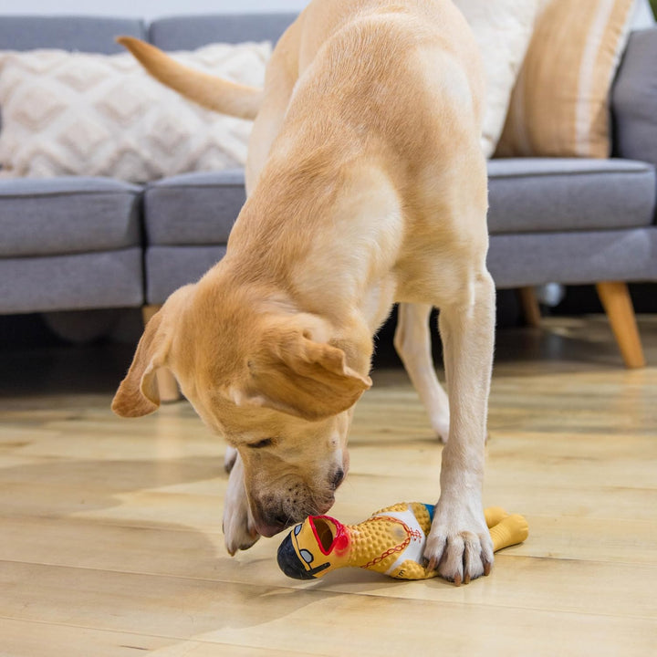by Charming Pet Squawkers Earl Latex Squeaky Rubber Chicken Dog Toy, Funny Interactive Holiday Toy for Dogs, Large Size