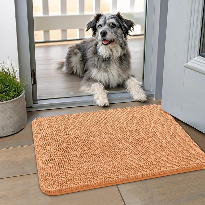 Dog Door Mat for Muddy Paws 30X20, Absorbs Moisture and Dirt Doormat, Non-Slip Washable Quick Dry Chenille Front Door Mat Indoor Entrance, Entryway Carpet for inside Floor, Grey