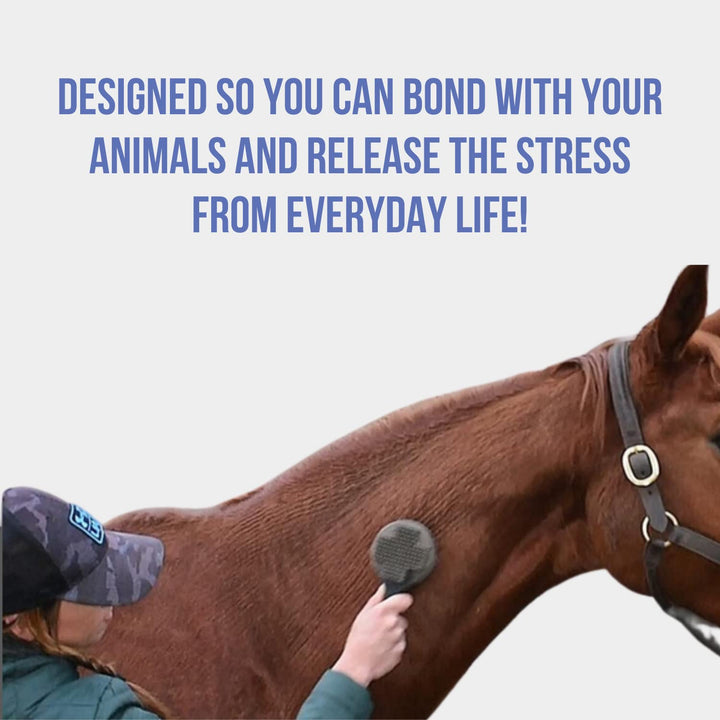 Curry on a Stik' - Dog Brush for Shedding, Grooming, Bathing, & Therapeutic Massage Tool - for Long & Short Haired Dogs - Decreases Shedding & Increases Coat Health - Veterinarian Approved - Ergonomic