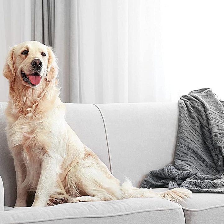 Pet Stain and Odor Remover 32 Oz ZUPETODR32 (Cases of 4)