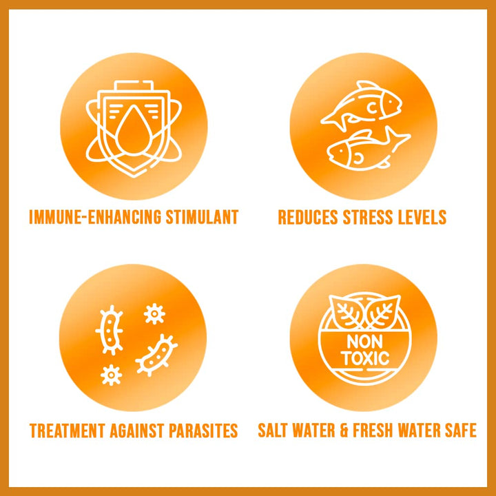 Herbtana Immune Booster and Natural Parasite Remover for Freshwater and Saltwater Home Aquariums and Fish Tanks, 16 Ounces