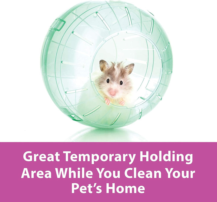 7" Clear Run-About Exercise Ball for Pet Hamsters & Gerbils