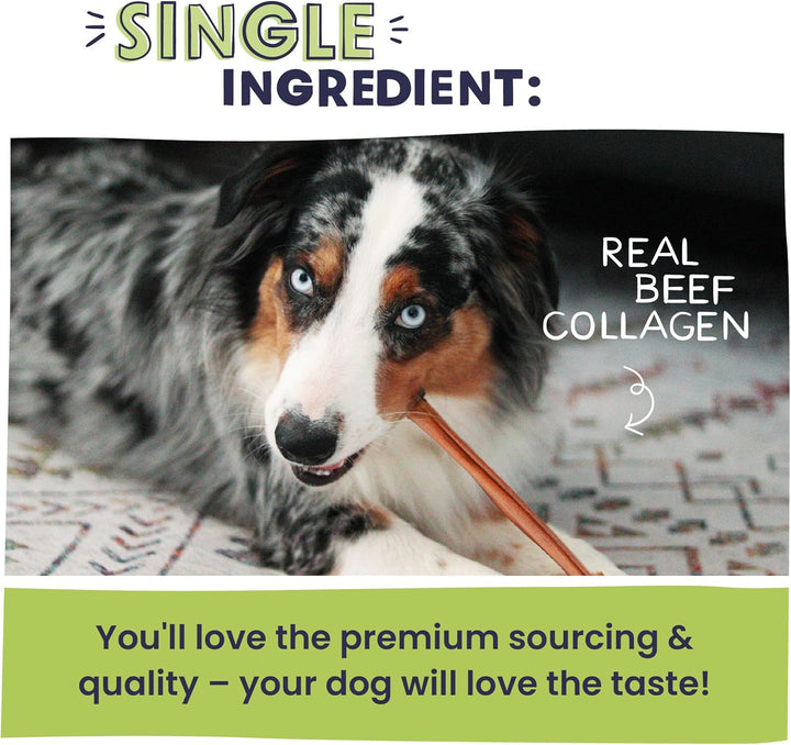 All Natural 11-12" Roasted Collagen Sticks for Dogs – Low Odor & Long-Lasting Bully Stick & Rawhide Alternative, Single Ingredient, Vet Approved – 5 Pack