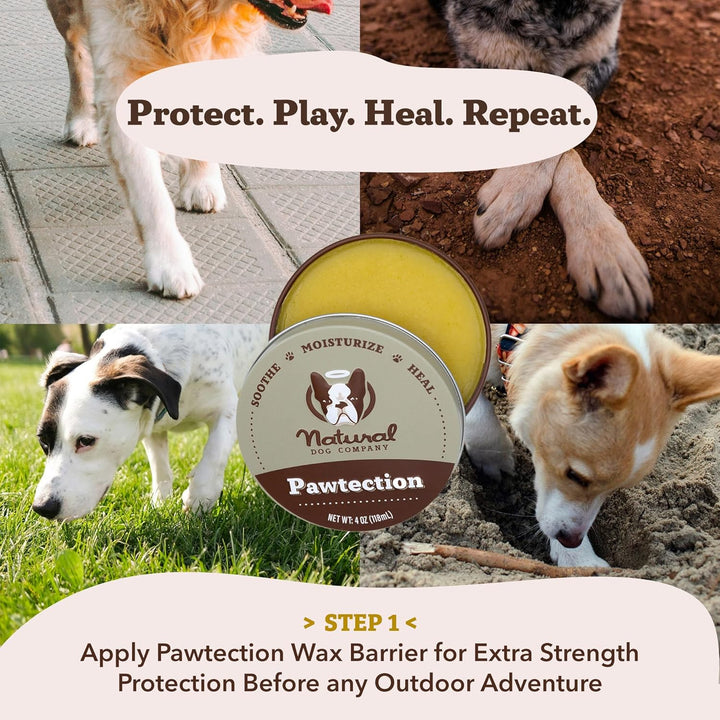 Pawtection Balm 2 Oz Stick – Dog Paw Protection Wax with Shea Butter & Calendula – Shields Paws from Snow, Ice, Salt, Hot Pavement & Rough Terrain – Lick-Safe, Vegan
