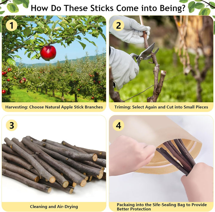 600G Organic Apple Sticks Small Animals Molar Wood Treats Toys for Chinchillas Guinea Pig Rabbits Hamster Gerbil Parrot Bunny Chew Stick Toys, 21.2 OZ