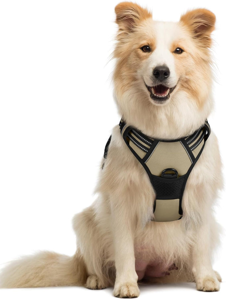 Dog Harness No Pull with 2 Leash Clips, Adjustable Soft Padded, Reflective Oxford No Choke Pet Vest with Easy Control Handle for Large Dogs, Black, L