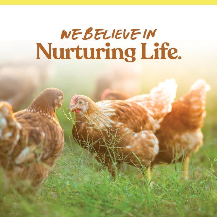 Ultimate Chicken Scratch Feed, Nutrient-Rich Scratch Grain Treat for Chickens and Poultry, Natural Multigrain Blend for Backyard Flocks and Laying Hens, Made in USA, 10 Lb Bag