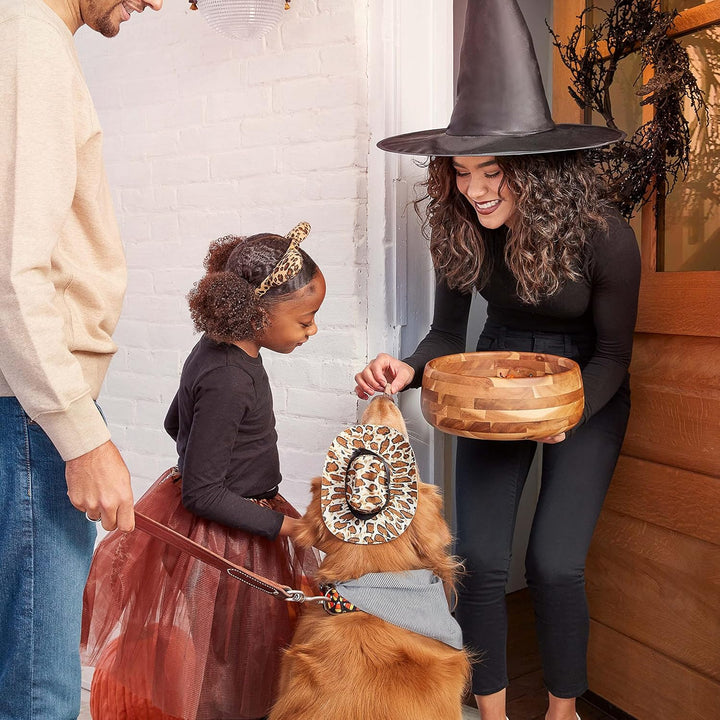 Limited Edition Halloween Spooky Biscuit Dog Treats, 24 Ounce Pail