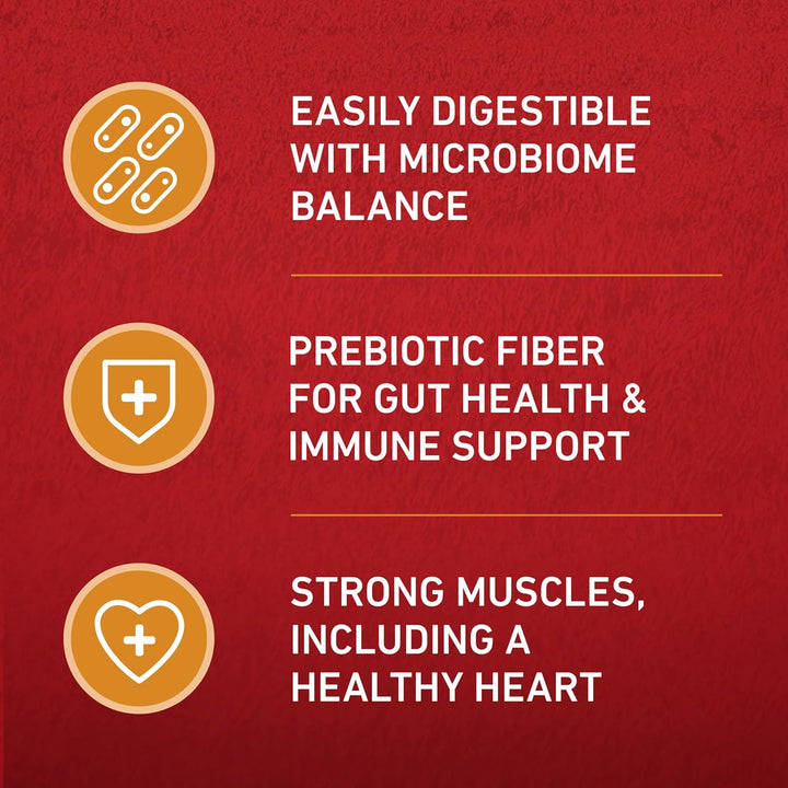 Chicken and Rice Formula Dry Dog Food - 16.5 Lb. Bag