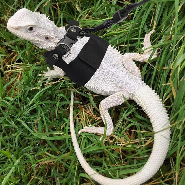 Bearded Dragon Harness and Leash Set, 3 Size Adjustable Soft Leather Reptile Leash, Lizard Harness with Retractable, Small Animal Outdoor Walking Vest with Traction Rope, 3 Pack, Black