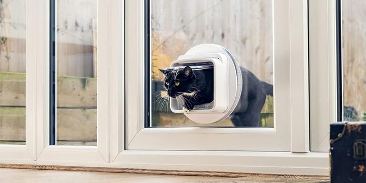 Compatible with Sureflap Surefeed Microchip RFID Collar Tags Disc Key Replacement (Pack of 2)