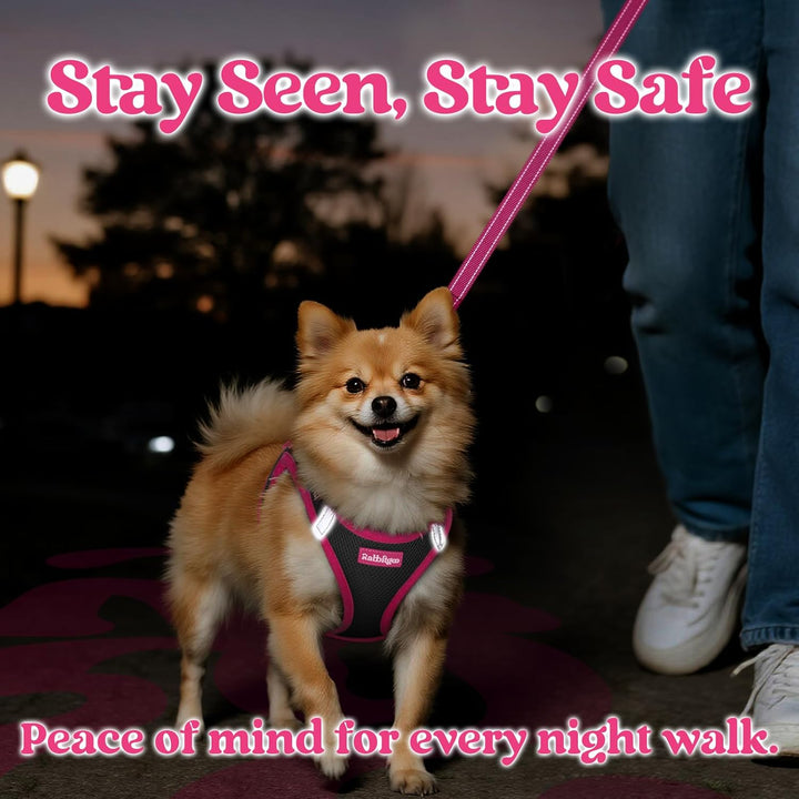 Dog Harness Small Sized and Leash Set, Step-In Breathable Pet Harness, Soft Walking Reflective Puppy Vest for Small Dogs, Black & Rose Red, S