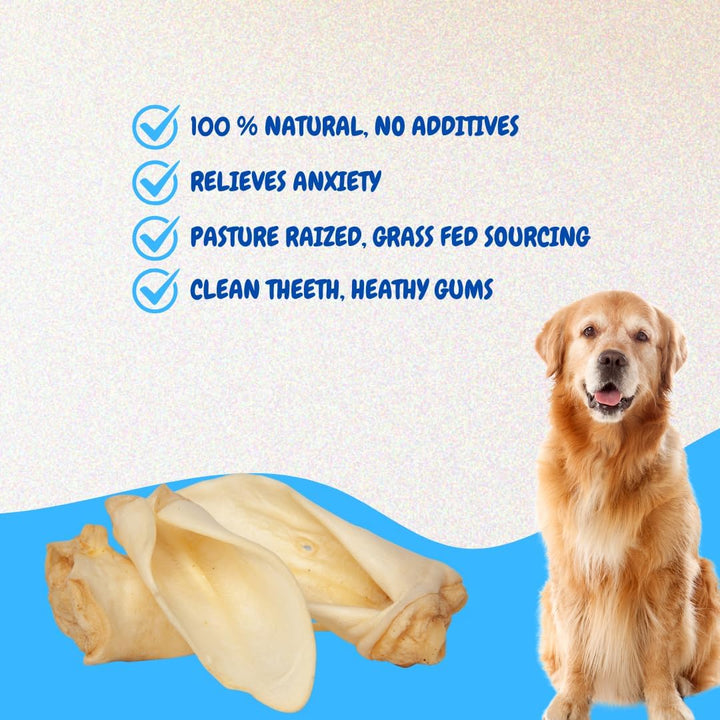 100% Natural Real Cow Ears (50 Pack) Prime Dog Chews, over 5 Inches Free Range Grass Fed Cattle, No Additives, Chemicals or Hormones