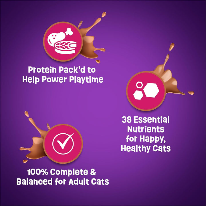 Purina  Dry Cat Food Gravy Swirl'D with Flavors of Chicken, Salmon and Gravy - 22 Lb. Bag