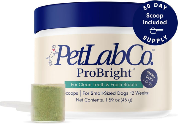 Probright Dental Powder - Dog Breath Freshener - Teeth Cleaning Made Easy – Targets Tartar & Bad Breath - Formulated for Small Dogs - Packaging May Vary