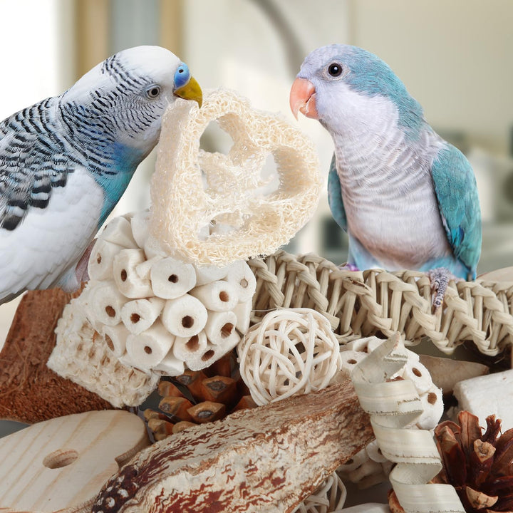 Bird Toys Parrot Toys Natural Bird Foraging Box Foot for Parakeets,Cockatiels,Conures,Love Birds,And Other Small to Medium Birds (Medium)