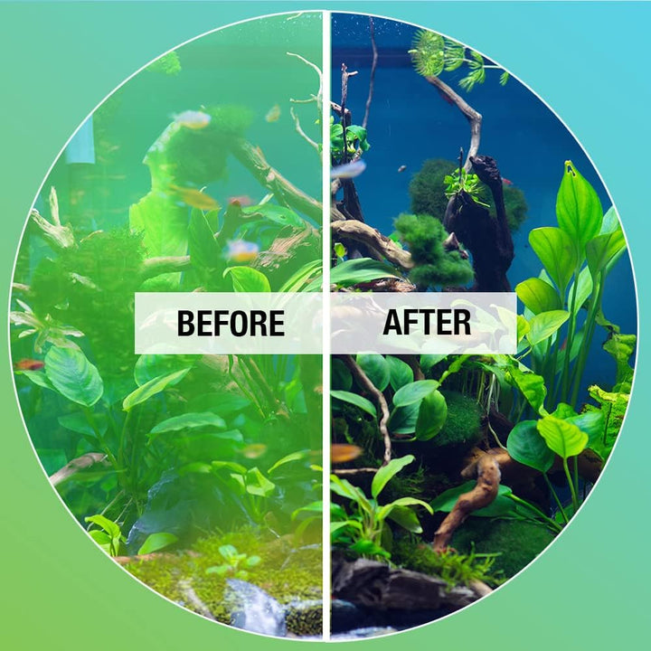 ALGAA08 ALGAWAY 5.4 Algae Control for Fresh and Salt Water Home Aquariums, 8 Ounces