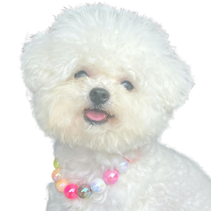 Dogs Necklace,Pet Fashion Necklace, Colorful Beaded Necklace,Pet Jewelry,Vibrant Candy-Colored Pet Jewelry Necklace for Cats and Dogs(12.6-14.57 Inches)