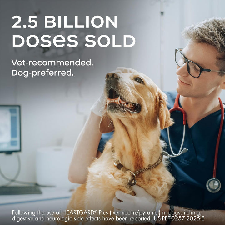 ® plus (Ivermectin/Pyrantel) Real-Beef Chewables for Dogs up to 25 Lbs (Blue Box) 6 Month Supply of Chews (Heartworm Disease Preventive)