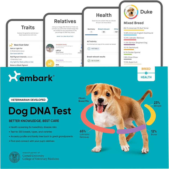 Breed & Health Kit - Dog DNA Testing Kit - Discover Breed, Ancestry, Relative Finder, Genetic Health, Traits, Allergy Risk Scores