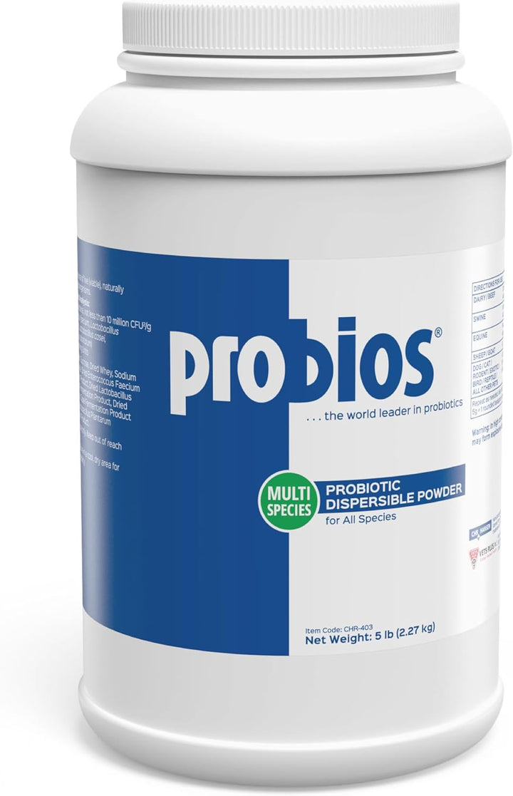 Digestive Support Probiotic for All Species, Probiotics for Gut Health, Dispersible Powder, 240 Gm