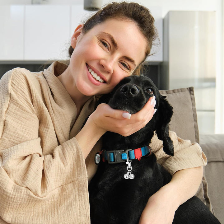 4 Pcs Mini Dog Collar Bells, Cat Bell, Silver Pet Pendant Accessories for Training, Loud Charms for Dogs and Cats