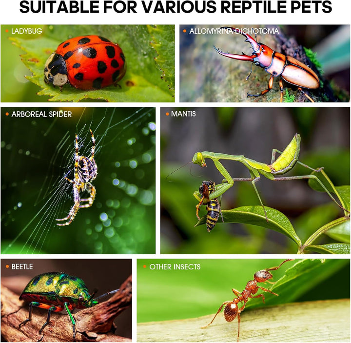 Jumping Spider Enclosure Accessories, Tarantula Spider Box, Bug Cage, Praying Mantis Habitat Enclosure, Snail Insect Terrarium, Caterpillar Habitat (3X3X6 Inch)