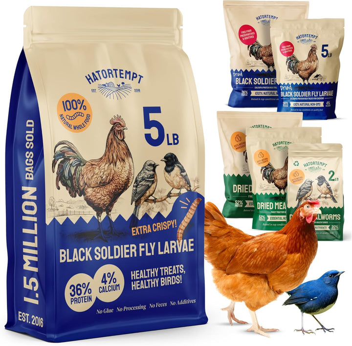 Chicken Feed & Treats - 10 Lb Non-Gmo Bulk Larvae & Grubs - High-Protein Food for Laying Hens & Poultry - Grubs & Worms for Chickens & Bluebird Food - Calcium-Rich Supplement