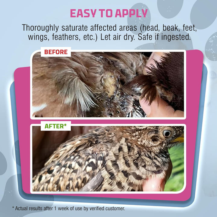 Chicken Wound Spray for Chickens & Birds - Patented Silver Solution - Silver Spray for Wounds, Pecking Sores, Bumblefoot, Cuts, Burns, & Skin Irritations - Chicken Care - USA Made - 12 Fl Oz