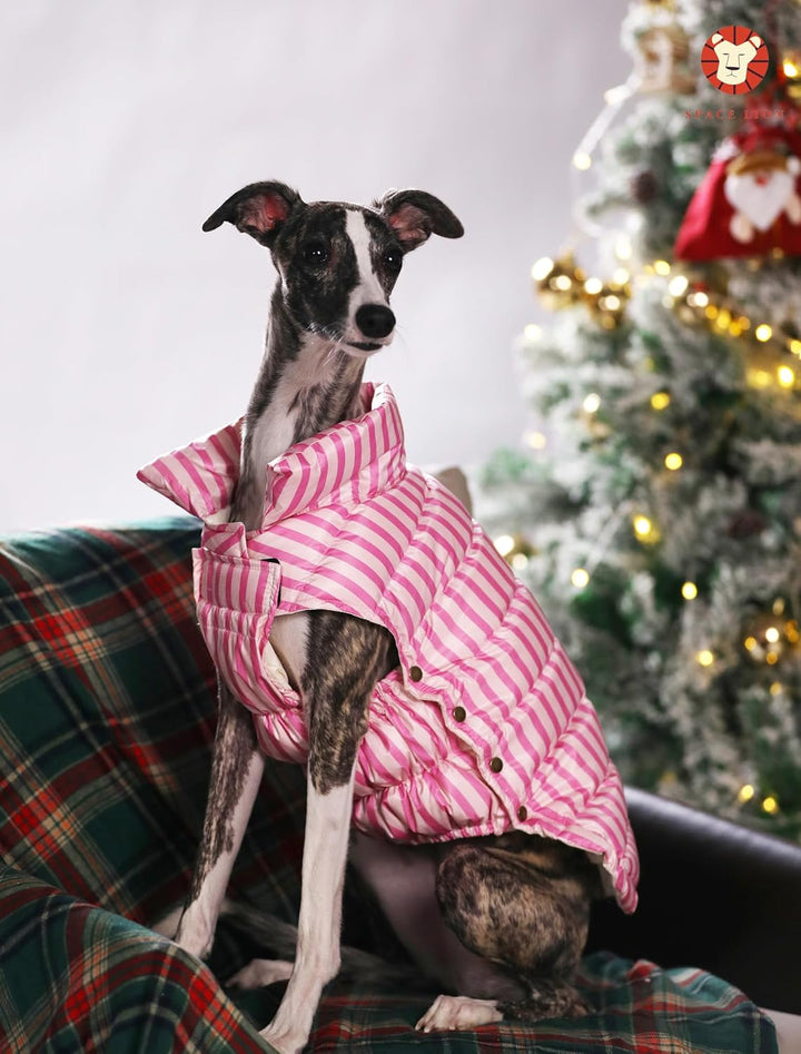 Dog Puffer Jacket, down Winter Coat, Durable Outdoor Coat for Cold and Windy Conditions, Waterproof, Lightweight Jacket, Adjustable Fit for Small, Medium, Large Dogs(Pink,12/M)