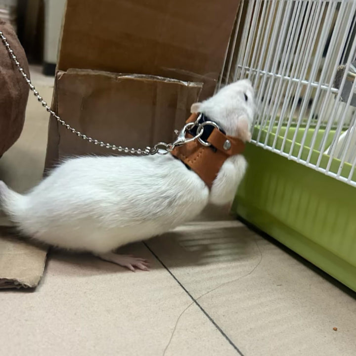 3 Pack Rat Harness and Leash - Adjustable Soft Leather Small Animal Harness Leash Traction Rope Anti-Bite Chain Training Walking Vest Accessories for Squirrel Reptile (Brown)