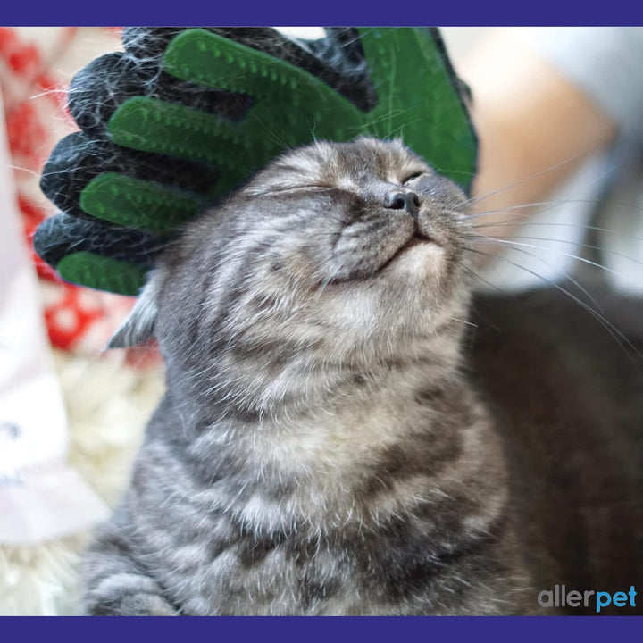 Multi-Pet Dander Remover W/Free Grooming Glove - Best Pet Dander Remover for Allergens - for Dog/Cat Dry Skin Treatment - Made in USA - (12Oz)