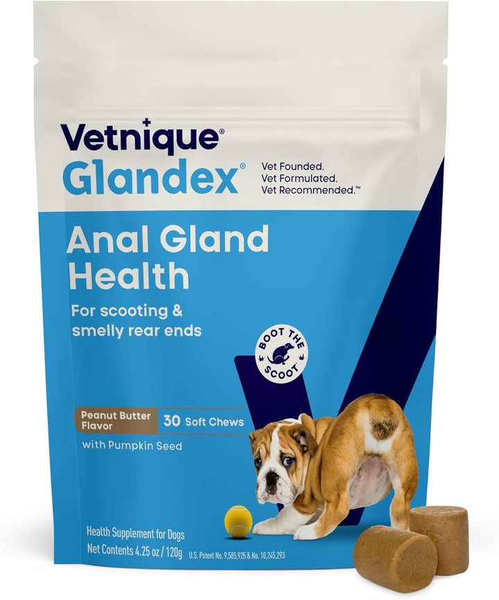 Glandex Anal Gland Soft Chew Treats with Pumpkin for Dogs Digestive Enzymes, Probiotics Fiber Supplement for Dogs Boot the Scoot (Peanut Butter Chews, 60 Count)