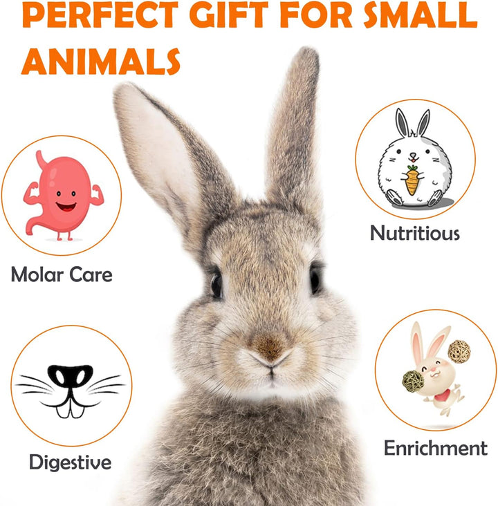 32Pcs Timothy Hay Sticks 320G for Rabbit, Guinea Pig, Hamster - Natural Handmade Treats and Chews for Teeth - Chinchilla, Rat, Gerbil Toys