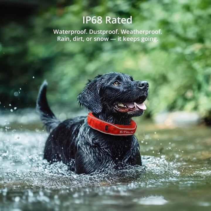 Dog Wireless Fences, Gray the Most Advanced GPS Dog Collar with AI Analysis, Precise Positioning, 5-Day Battery, and IP68 Waterproof, Flexible Virtual Fencing for Medium & Large Dogs