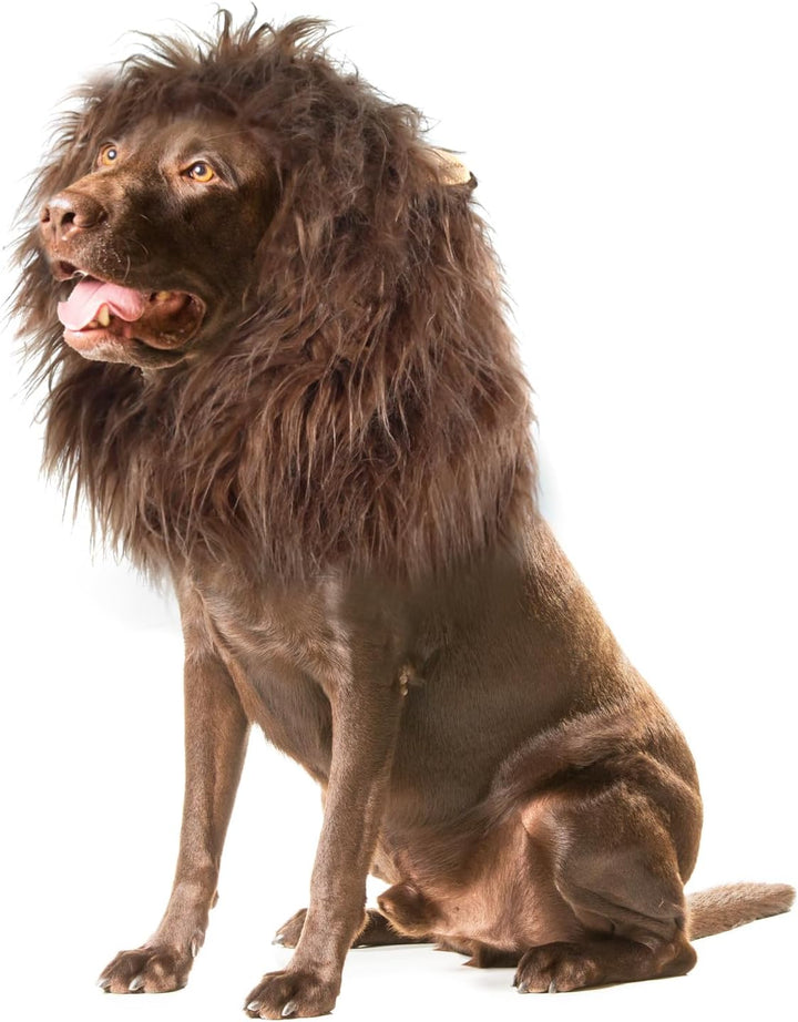 Lion Mane Wig for Dogs with Ears, Funny Pet Costumes for Halloween Christmas