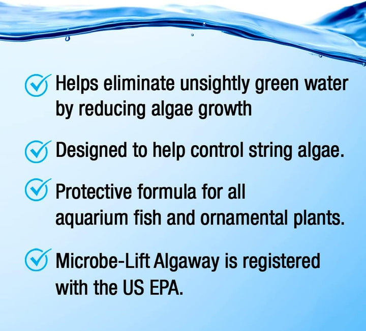 ALGAA08 ALGAWAY 5.4 Algae Control for Fresh and Salt Water Home Aquariums, 8 Ounces