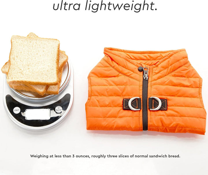 Boys Classic Puffer Dog Vest, Turquoise, Large Chest 20.75 US