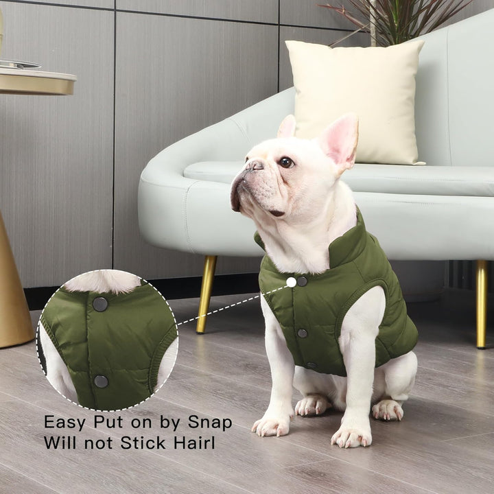 2 Layers Fleece Lined Warm Dog Jacket for Puppy Winter Cold Weather,Soft Windproof Small Dog Coat,Green S