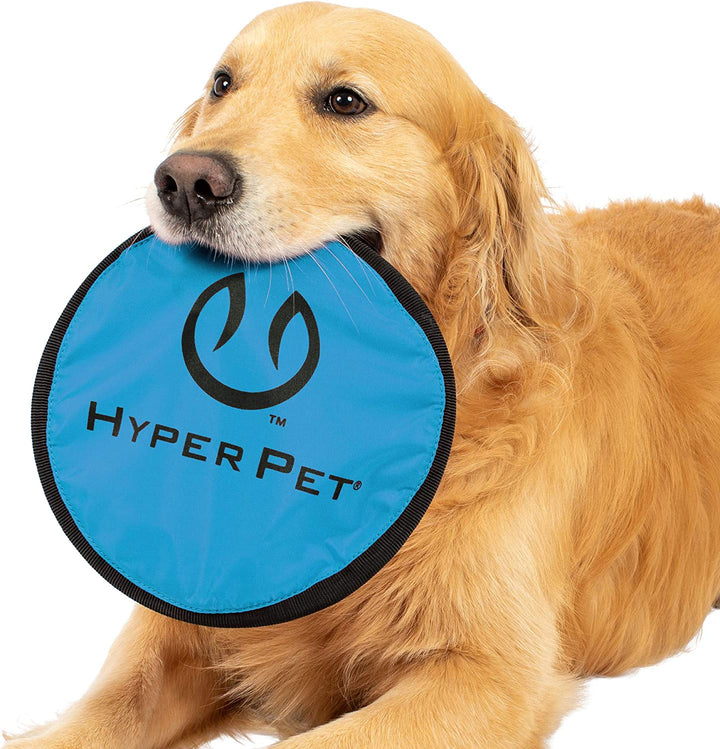 Flippy Flopper 9" Flying Disc Soft Dog Toy, Floats in Water & Safe on Teeth, for All Breeds, Pack of 2 (Colors May Vary)